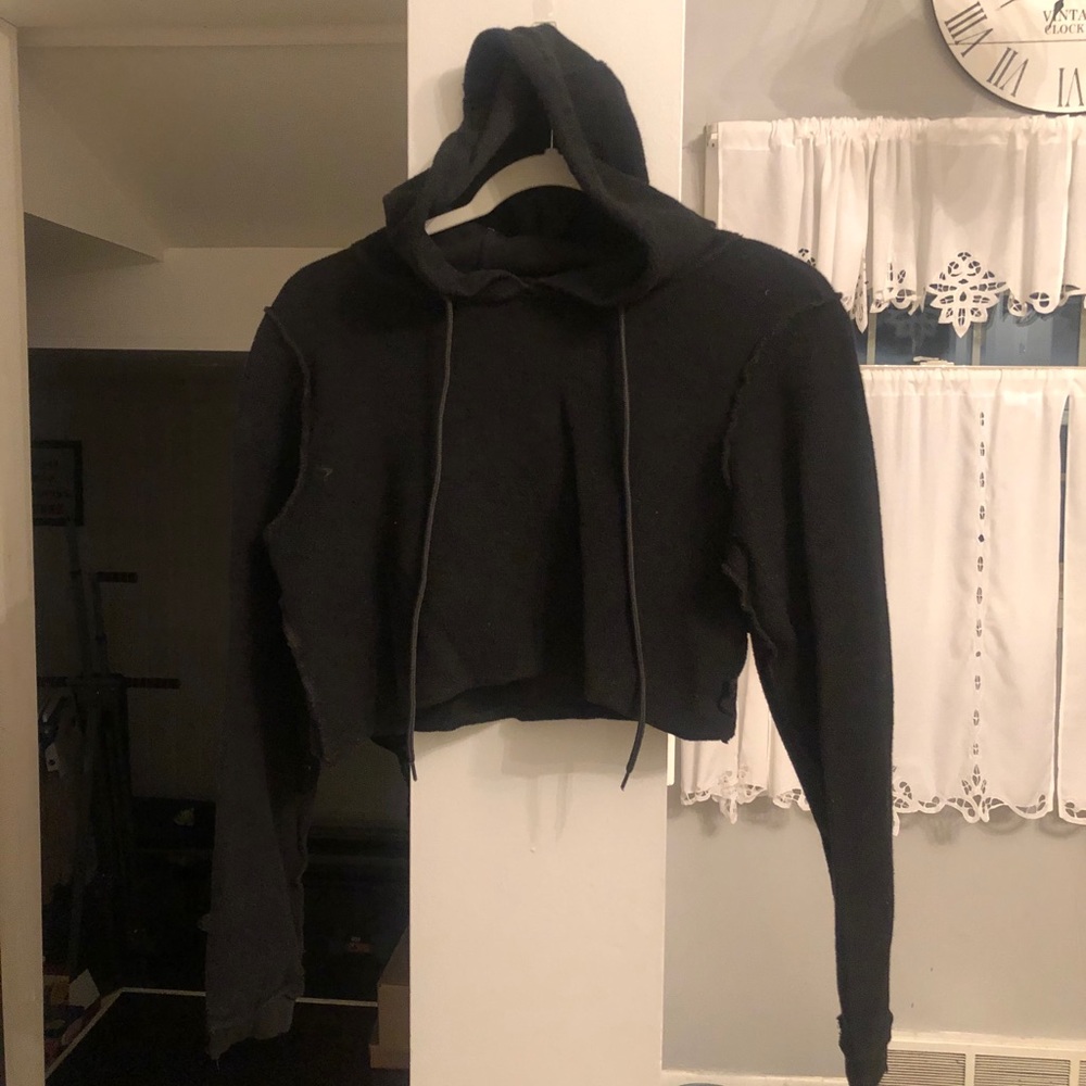 Danielle Guizio crop hoodie (medium) worn once